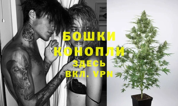 ECSTASY Покачи